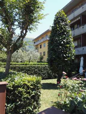 I Giardini di Lapo si occupa di potatura alberi e piante a Firenze, abbattimento alberi, potatura alberi alto fusto, potatura alberi da frutta. Potature alberi periodiche o straordinarie.