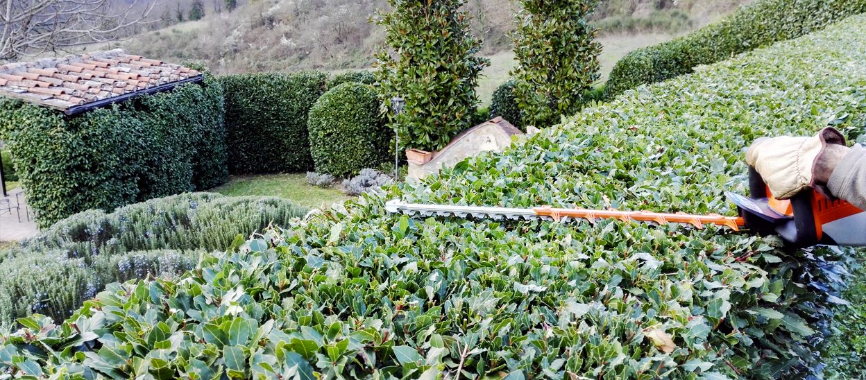 Giardiniere a Firenze: Lapo Bacci si occupa di occupa di progettazione e realizzazione di giardini e spazi verdi, manutenzione di aree verdi e terrazzi, impianti di irrigazione, potatura ed abbattimento alberi.